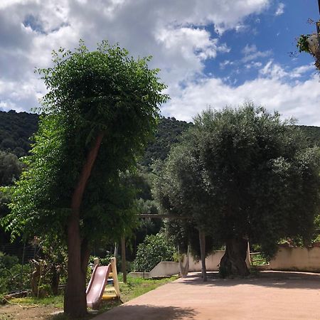 Appartamento Maremontagna Cardedu Bagian luar foto
