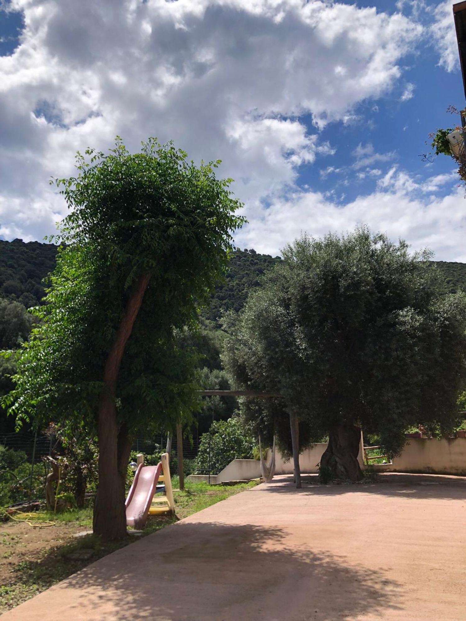 Appartamento Maremontagna Cardedu Bagian luar foto